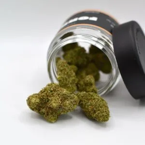 Forbidden V CBDV Flower